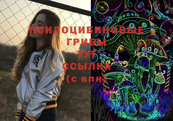молекула духа Богородицк