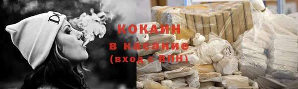 ПСИЛОЦИБИНОВЫЕ ГРИБЫ Богданович