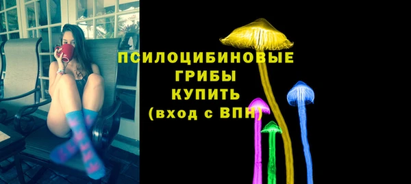ПСИЛОЦИБИНОВЫЕ ГРИБЫ Богданович