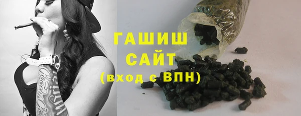 молекула духа Богородицк