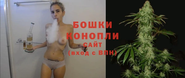 молекула духа Богородицк
