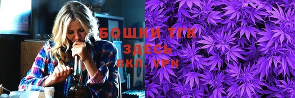 СК Ельня