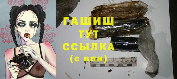 ПСИЛОЦИБИНОВЫЕ ГРИБЫ Богданович