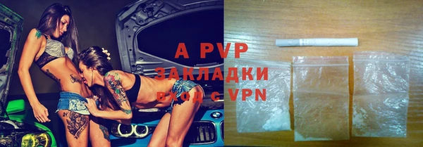 ПСИЛОЦИБИНОВЫЕ ГРИБЫ Богданович