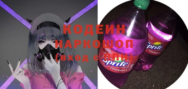 молекула духа Богородицк