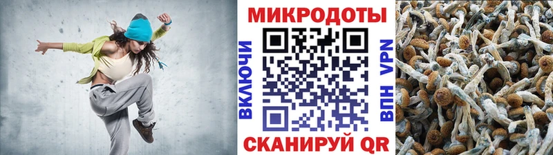 Псилоцибиновые грибы прущие грибы мориарти какой сайт Мирный